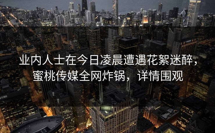 业内人士在今日凌晨遭遇花絮迷醉，蜜桃传媒全网炸锅，详情围观
