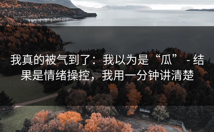 我真的被气到了：我以为是“瓜” - 结果是情绪操控，我用一分钟讲清楚